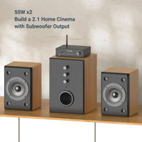 Amplificador Estéreo Potente B50SE de 50W x 2 para Transmisión Multi-Habitación en el Hogar