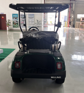 E1ectr1c 2ที่นั่ง Cert1f1ed H0t Wu11ng รถเข็น48vss 0EM Se111ng รถเข็น2ที่นั่ง - Product Image 4