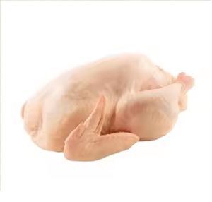 Pollo Halal Congelado Orgánico de Alta Calidad con Cafeína, envasado al vacío, con vitaminas, partes completas: Alas, Patas, Muslos, Cabeza y Cuello. - Product Image 4