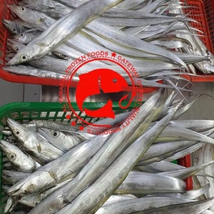 Poisson Ruban Entier Congelé Premium, Sauvage et Frais de l'Océan, Riche en Protéines, Produit de la Mer Sain, Idéal pour la Friture, la Grillade et le Barbecue - Product Image 5