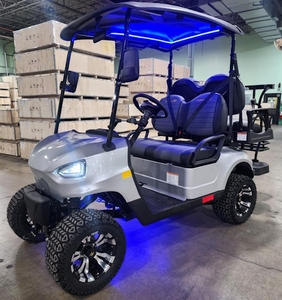 (H & S) CARRITO DE GOLF 4 PLAZAS 200CC EDICION COMBUSTIBLE - Product Image 1