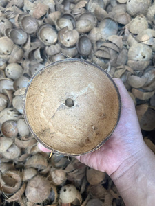 วัตถุดิบเปลือกมะพร้าวธรรมชาติสำหรับผู้ส่งออกถ่านงานฝีมือผู้จำหน่ายและผู้ซื้อส่งทั่วโลก - Product Image 2