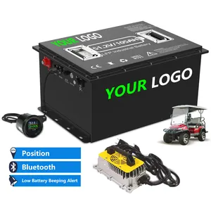 Hete Verkopende Golfkar Groothandelsprijs Lithium-Ionbatterijen 36V 48V 60V 72V 50ah 100ah 105ah 120ah 200ah Lifepo4-batterij