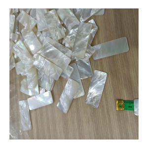 Vietnam nacre coquille tranches nacre pièces pour incrustation artistique bijoux accessoires panneaux de meubles décoratifs - Product Image 6