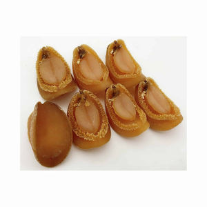 Hot Selling Good Quality Nutritious Shellfish Dried Abalone - Product Image 4
