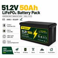 Batterie au lithium LiFePO4 51,2 V 50 Ah 48 V 2,56 kWh pour système d'onduleur de stockage d'énergie solaire domestique