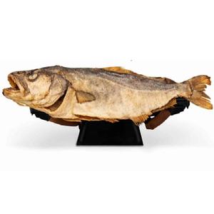 Pescado Seco de Bacalao con Alto Contenido de Proteínas |   Bacalao Premium para Compradores Mayoristas en Todo el Mundo - Product Image 2