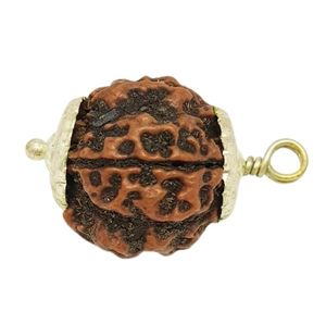 Pendentif 6 Mukhi Original Certifié Astrologie But Népal Origine Rare Perle 6 Mukhi Rudraksha - Product Image 4
