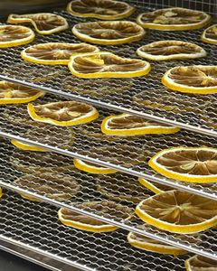 GOLDEN CITRUS SUNBURST: GOURMET SECOS DE LIMÓN - Product Image 1