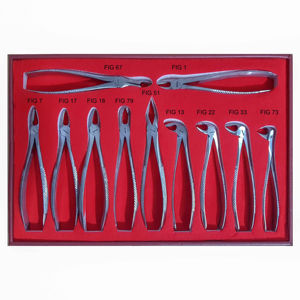 Recién llegado, juego de instrumentos dentales de 10 pinzas de extracción Dental de acero inoxidable, soporte de aguja, instrumentos quirúrgicos dentales - Product Image 3