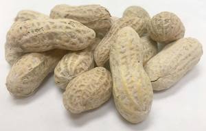 Healthy Natural Organic Shelled <b>Peanuts</b> Available at Competitive Prices - Product Image 4