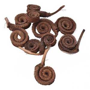 Anneau de palmier de qualité supérieure, écologique, bricolage, mariage, remise de diplôme, Halloween, Pâques, fête des pères, décoration intérieure/extérieure, maison, bureau - Product Image 1