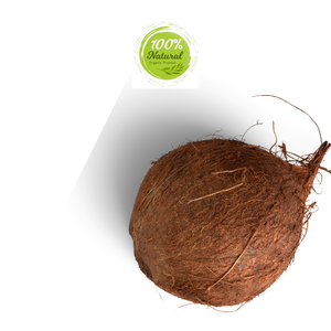 Noix de coco séchée pour boissons à base de lait de coco améliorant le goût des produits agricoles - Product Image 1