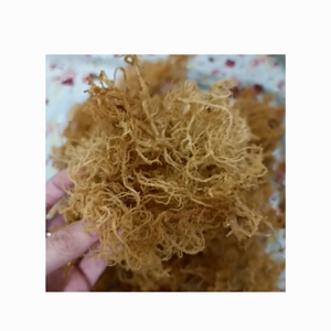 สาหร่าย Eucheuma cottonnii แบบไม่ใช้เกลือสะอาดสาหร่ายสาหร่ายทะเลไอริชแบบแห้งพร้อมถุงใส่โลโก้ตามสั่ง - Product Image 4