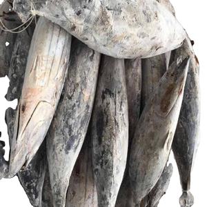 Atún Skipjack Entero Orgánico de Grado Alimenticio Bajo en Sal, 10 kg por Caja, 27 Toneladas, Congelado en 15 Días, Procesado por Congelación (FD), Empaquetado en Bolsa Redonda en Caja - Product Image 6