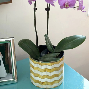 ดอกไม้ประดับทรงบั้งแบบทันสมัยของตกแต่งโต๊ะลายซิกแซกสำหรับเป็นของขวัญวันคริสต์มาสต้นไม้ประดับกล่อง - Product Image 1