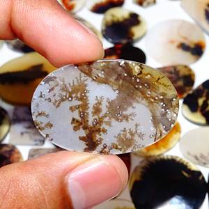 Belle naturelle Shazar dendritique Agate Quartz pierres précieuses Cabochon mélange forme lot en gros pour la fabrication de bijoux - Product Image 5