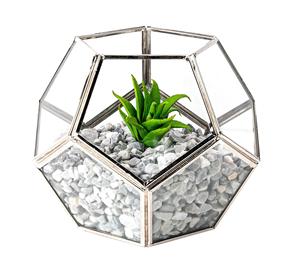Vintage Design Glass Terrarium Geometric <b>Mini</b> Gardens for Air Plants Home Decor Office Decor At Best Price . - Product Image 1