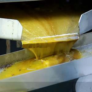 180瓦不锈钢自动辣木籽油提取机小型花生葵花棕榈油榨油机 - Product Image 6