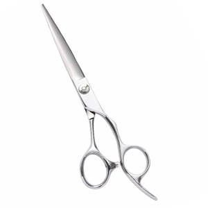 Professional 5.5 Inch <b>Hairdressing</b> <b>Scissors</b> with Sharp Ceramic Handle and Stainless Steel Blade Beauty Professional Hair Shear - Product Image 1