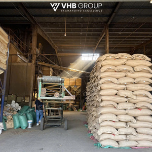 Green <b>Robusta</b> <b>Coffee</b> <b>Beans</b> Bulk Dried for Drinking - Product Image 4