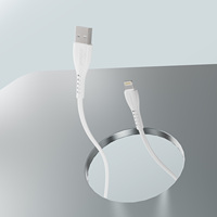 Câble USB A vers iPhone 3A 20CM CB-328IP Blanc - Câbles de haute qualité