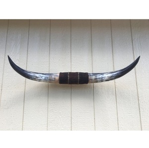 Décoration murale rustique en corne de buffle naturelle polie, artisanale - Product Image 1