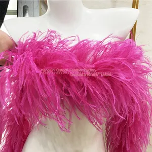 Rainbow colorful Feather Supplier Ostrich feather 20 ply 2 meters for dress for Halloween Occasion feather Boas