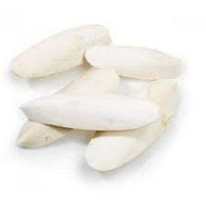 Pure and Natural <b>Cuttlefish</b> Bone - Product Image 1