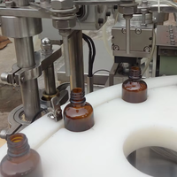 Máquina de Llenado y Tapado para Fábrica de Botellas, Equipo de Línea de Empaquetado, Etiquetado y Tapado de Sobremesa Personalizado por el Fabricante