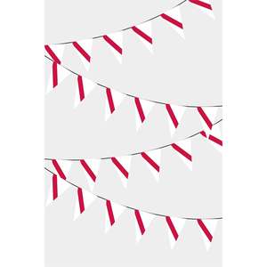Namibie Triangular Party <b>Banners</b> Guirlande De Fanions - Product Image 1