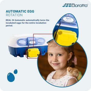 Incubadora de Huevos Inteligente Real 24 Expert de Tamaño Mediano, Borotto Totalmente Automática para 24 Huevos, Incubadora de Huevos Profesional Hecha en Italia - Product Image 4