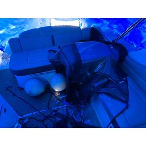 Lancha Motora Sea Ray Sundancer 310 de Estilo Lujoso, 2017 - Product Image 2