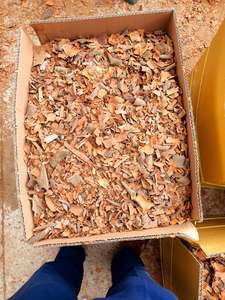 Mejor precio en Vietnam Origen Casia seca/Canela Certificaciones de exportación completa Confiabilidad garantizada + 84 359318390 - Product Image 5