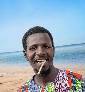 Glowroots Herbal Miswak Sticks Organic Natural Toothbrush Whitening Teeth Cleaner Fresh Breath Eco-Friendly Dental Hygiene Aid - Product Image 3