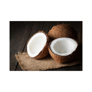 Nuez de Coco Natural a Granel, Exportación al por Mayor, Proveedor de Fábrica para Tiendas de Comestibles, Procesadores de Alimentos y Compradores Internacionales - Product Image 1