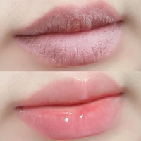 Wenshen All In One Lip Gloss Apaisez et hydratez vos lèvres tatouées