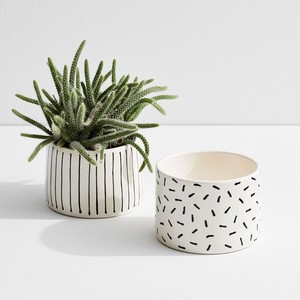 Juego de Macetas de Cerámica con Diseño Estampado, Acabado en Dos Tonos, Duradero, Decorativo para Interiores - Product Image 6