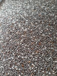 Semillas de Chía Crudas de Primera Calidad para la Industria Alimentaria, Precio al por Mayor, Semillas de Chía Negras Secas, Alto Contenido de Fibra, Empaque a Granel, Vietnam - Product Image 2