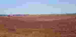 Raw Sphagnum turba musgo origen Báltico directo de fábrica para paisajismo agrícola y aplicaciones de cama de animales - Product Image 3