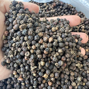 Vietnam Herbes et épices Poivre noir 500, 550, 570g/l faq & Asta Standard Grand goût Poivre noir pour l'exportation/ANNA DO - Product Image 6