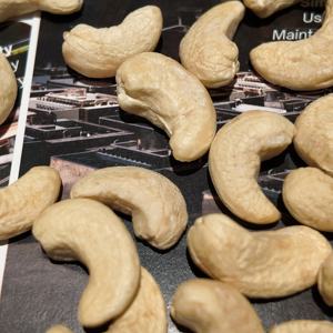 เม็ดมะม่วงหิมพานต์แอฟริกาคุณภาพพรีเมียม เกรด W320 พร้อมใบรับรองออร์แกนิกจาก USDA/EU สำหรับการแปรรูปอาหาร - Product Image 5