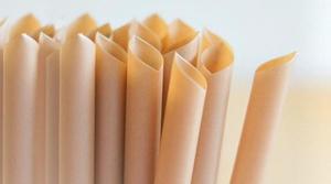 Nuevo producto 2024 Pajitas de caña de azúcar Pajitas desechables sin PLA de ViGi Farm Vietnam Export Worldwide - Product Image 3