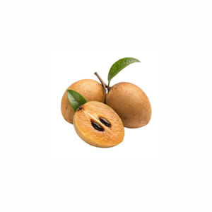 Fruta de sapota chikoo dulce y madura, cosecha fresca, exportadores al por mayor de primera calidad, producto tropical natural de calidad - Product Image 3