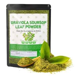 Feuilles de corossol séchées de qualité supérieure Poudre d'extrait de feuille d'annona muricata Source mondiale naturelle du Vietnam - Product Image 5