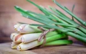 ÉTIQUETTE PROPRE CITRONNELLE CONGELÉE HERBE NATURELLE PURE À BASE DE PLANTES POUR LES SOINS DE SOUTIEN IMMUNITAIRE - Product Image 3