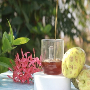 เครื่องดื่มเพื่อสุขภาพสมุนไพรน้ำ noni สมุนไพรเสริมสร้างและฟื้นฟูธรรมชาติที่ดีที่สุดในขวด - Product Image 5