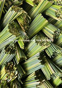 Lot de pailles d'herbe du Vietnam co2go du Vietnam, boîte à thé de haute qualité et bon prix - Product Image 2