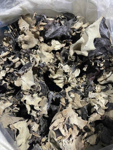 Hongo de la Oreja Seco de Vietnam al por Mayor, Proveedor de Fábrica de Hongos de la Oreja, Hongo de la Oreja Natural Negro para el Mercado de Exportación - Product Image 6