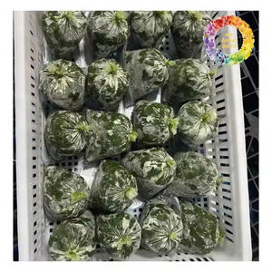 Hoja de yuca congelada para estofado Hojas de tapioca Congeladas Rápidamente favoritas africanas para exportación Embalaje personalizado disponible - Product Image 6